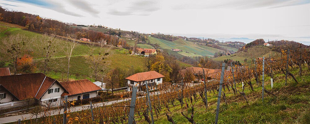 Blick auf einen Weinort an einem grauen Tag