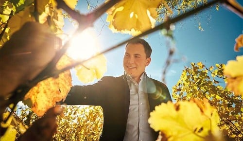 Winzertalk Krispel