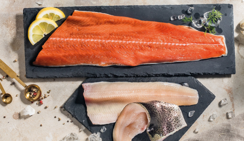Verschiedene Fischfilets auf einem Granitbrettchen