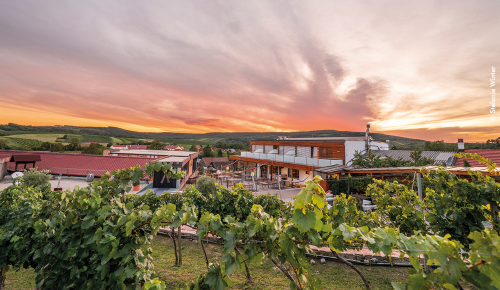 Außenaufnahme vom Weingut Hagn in Niederösterreich