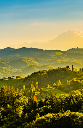 Blick auf ein Weinbaugebiet in der Südsteiermark im Sonnenuntergang