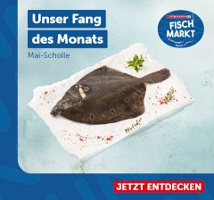 Fang des Monats: Mai-Scholle