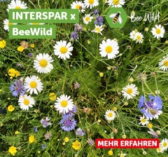 INTERSPAR x BeeWild, mehr erfahren.