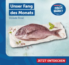 Unser Fang des Monats: Dorade Rosé. Jetzt entdecken!