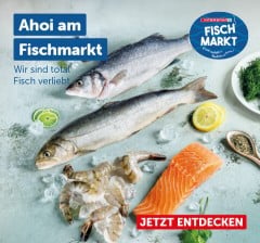Ahoi am Fischmarkt: Wir sind total Fisch verliebt. Jetzt entdecken!