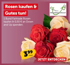 Rosen kaufen & Gutes tun. 1 Bund Fairtrade Rosen kaufen & 0,50 € an Down and Up spenden.