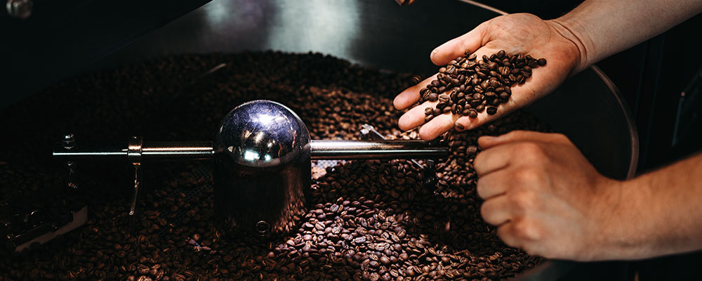 Eine Person die Kaffeebohnen in der Hand hält