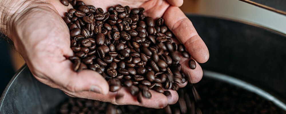Lokalitaet Header generisch