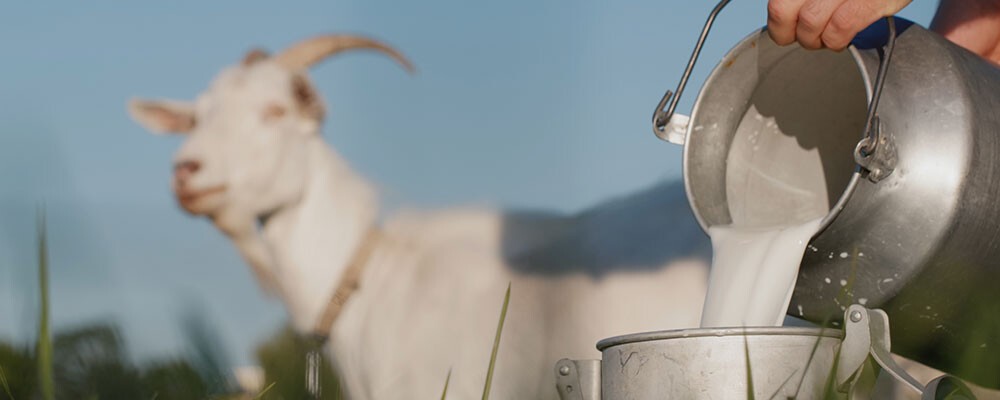 Lokalitaet Header generisch