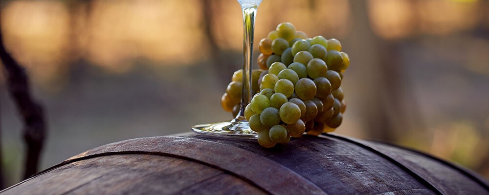 Lokalität Wein Header generisch