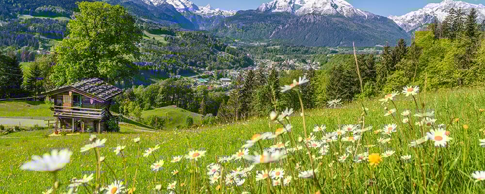 Header Lokalität generisch