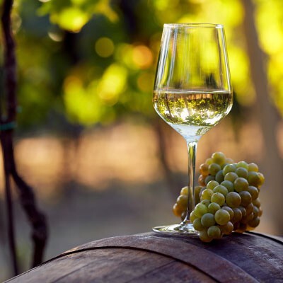 Lokalität Wein Header generisch