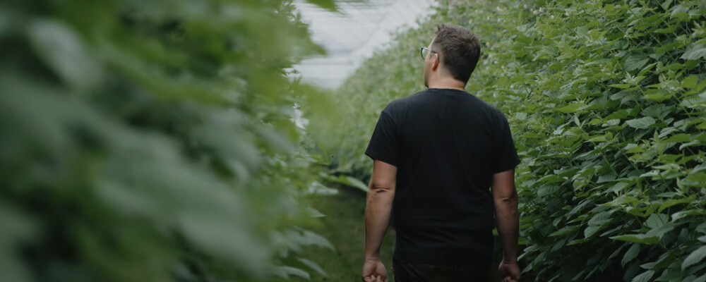 Von dahoam das Beste Mairs Beerengarten