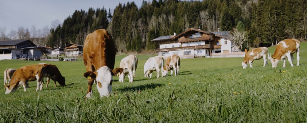 Von dahoam das Beste Milchbuben