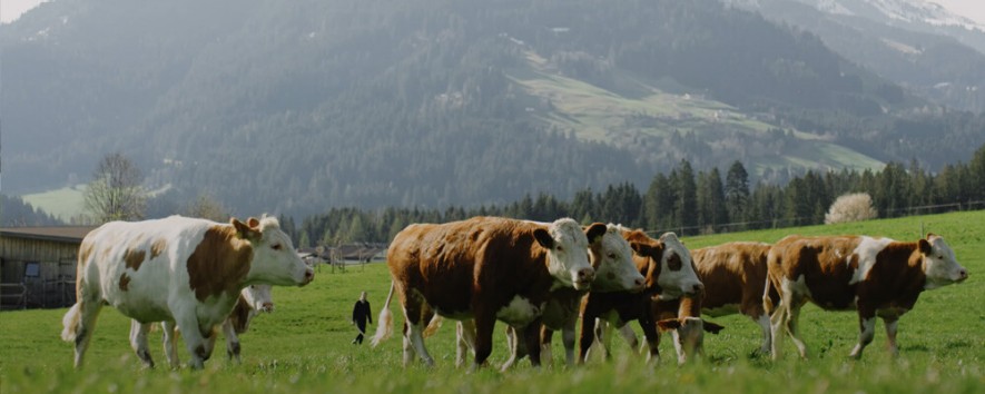Von dahoam das Beste Milchbuben