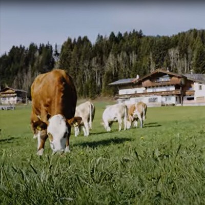 Von dahoam das Beste Milchbuben