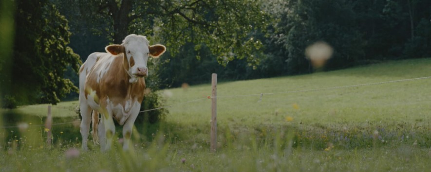 Von dahoam das Beste Wilhelmsburger Hoflieferanten