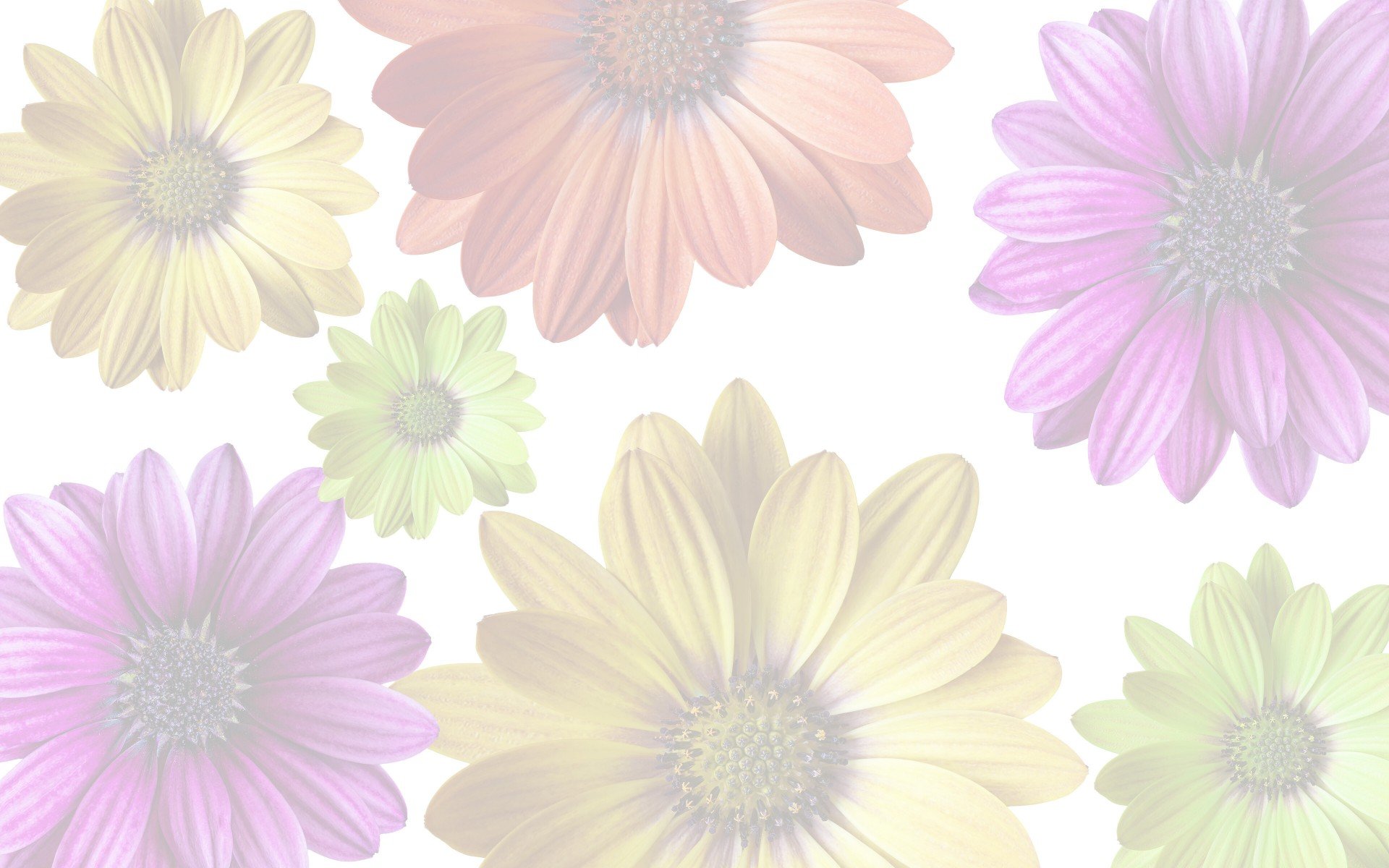 Hintergrund mit Blumen Mein Zuhause FS25