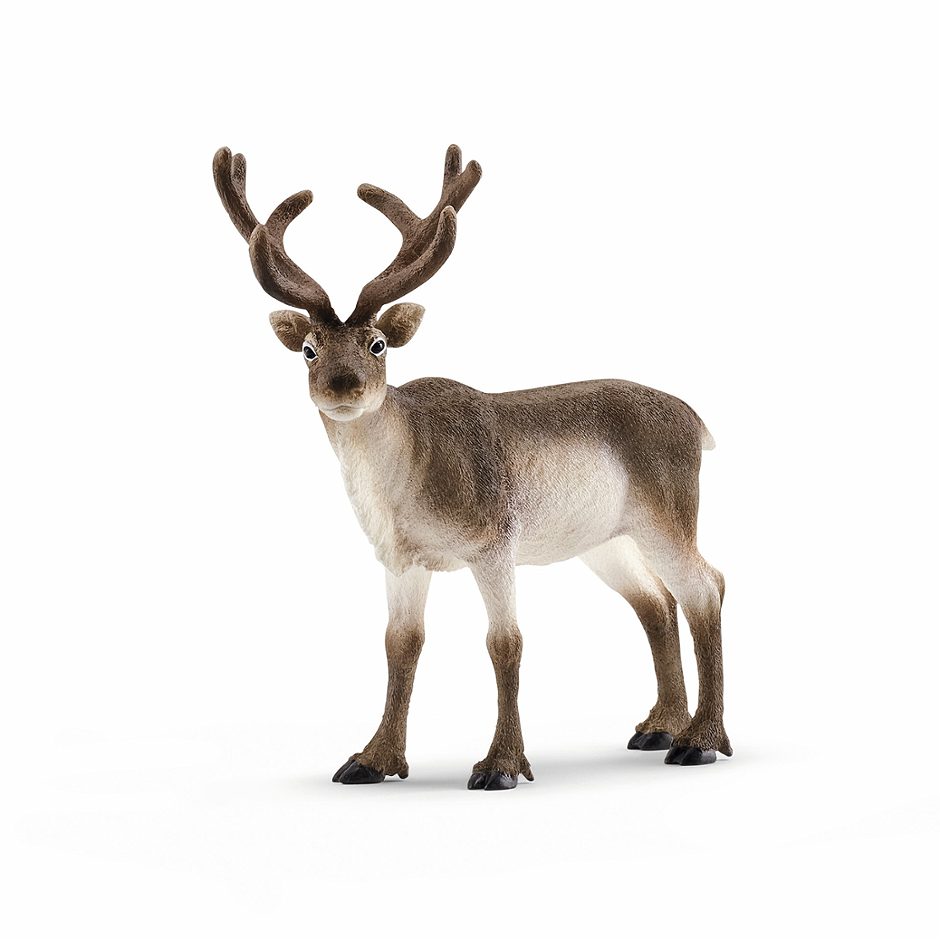 Schleich Wild Life Rentier 14837