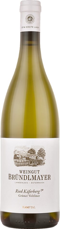 Bründlmayer Grüner Veltliner Käferberg 1.ÖTW Kamptal DAC BIO 2022 0,75 L
