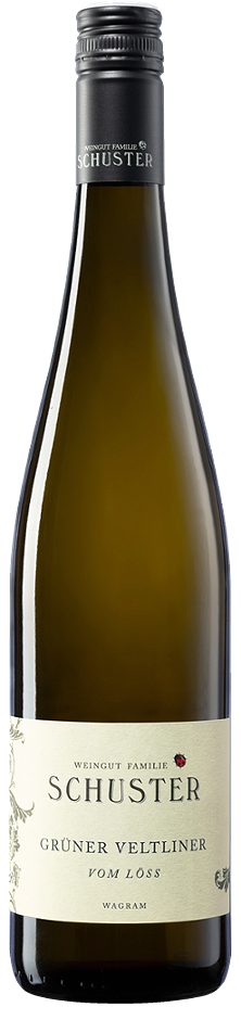 Schuster Grüner Veltliner vom Löss BIO 2024 0,75 L