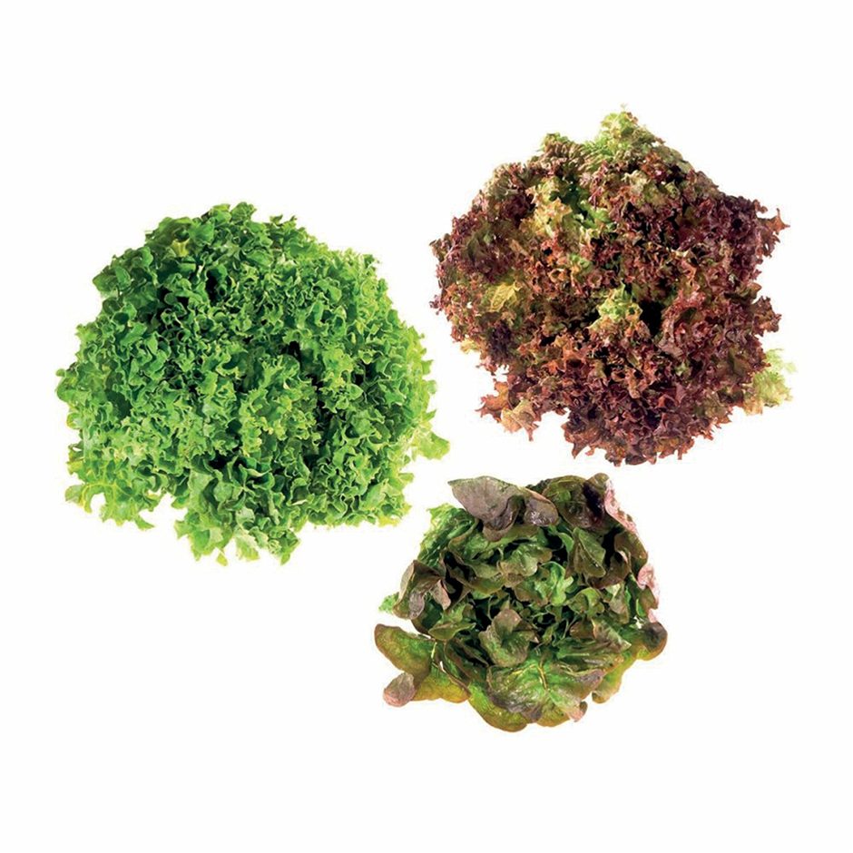 SPAR Natur*pur Bio-Salatmix 1 STK