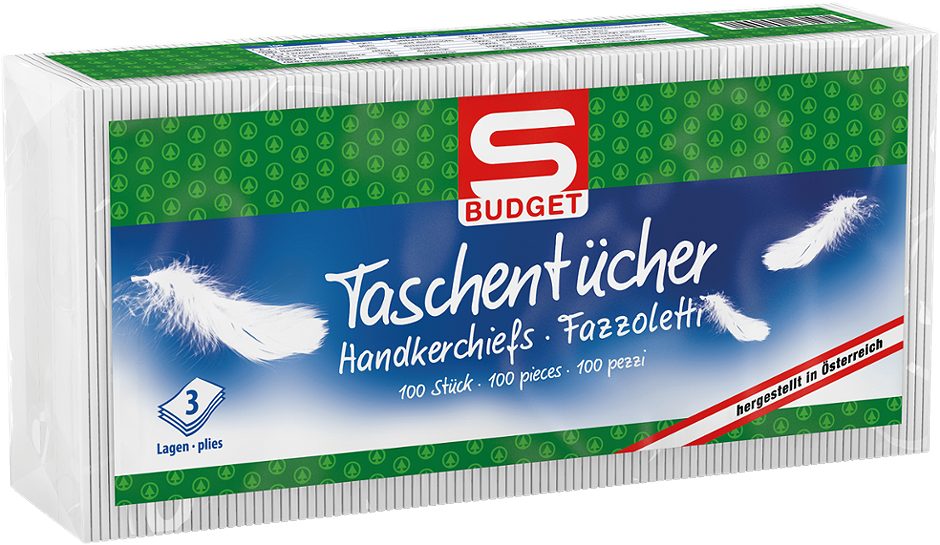 S-BUDGET Taschentücher 100 Stück