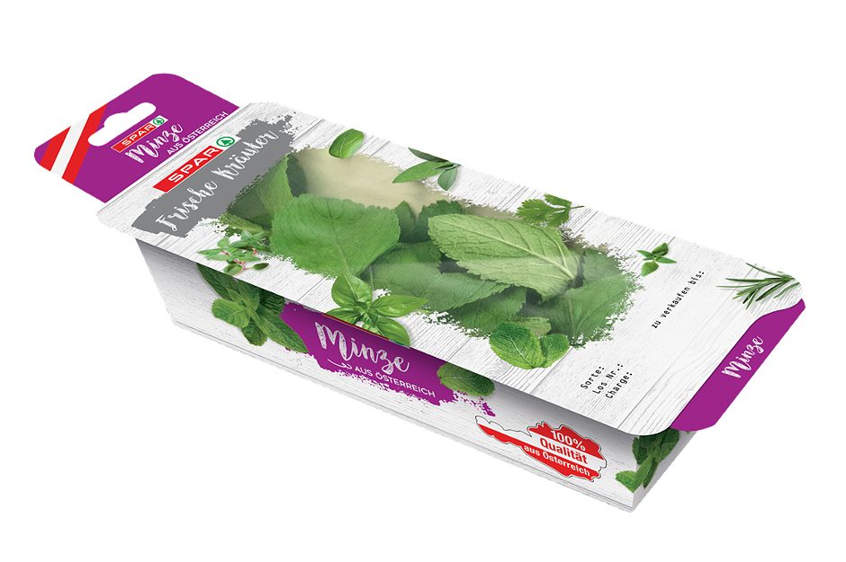 SPAR Minze frisch 20 G