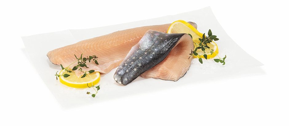 Schloss Fuschl Saiblingsfilet 1 KG