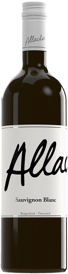 Allacher Sauvignon Blanc 2025 0,75 L