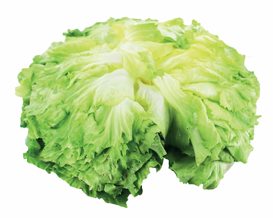SPAR Endiviensalat 1 STK