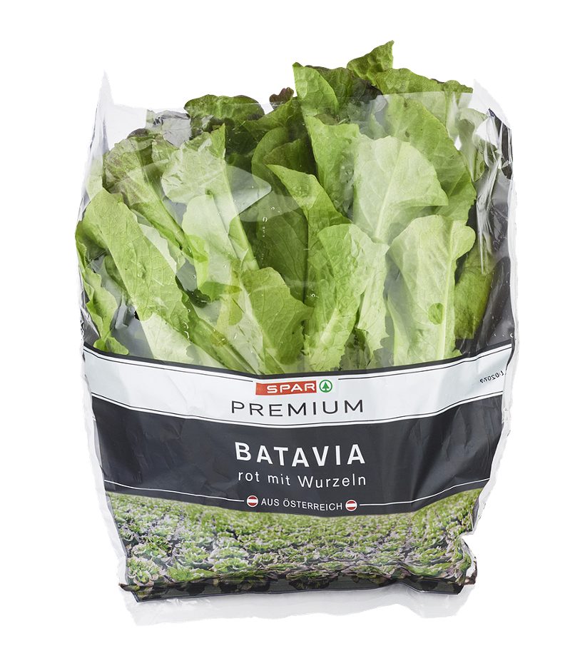 SPAR PREMIUM Batavia rot mit Wurzel 240 G