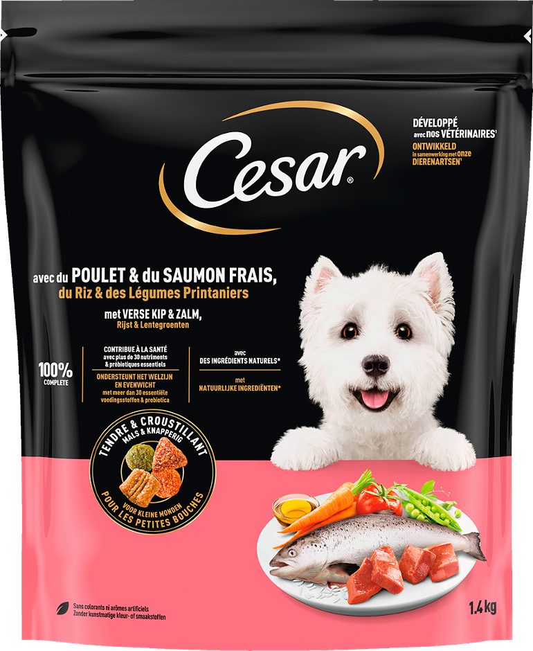 Cesar Hundetrockennahrung mit Huhn und Lachs 1,4 KG