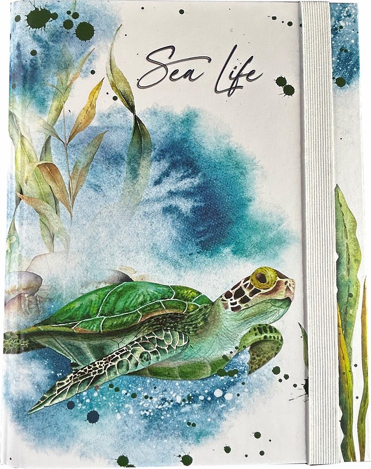 Heftbox A4 Sea Life Schildkröte