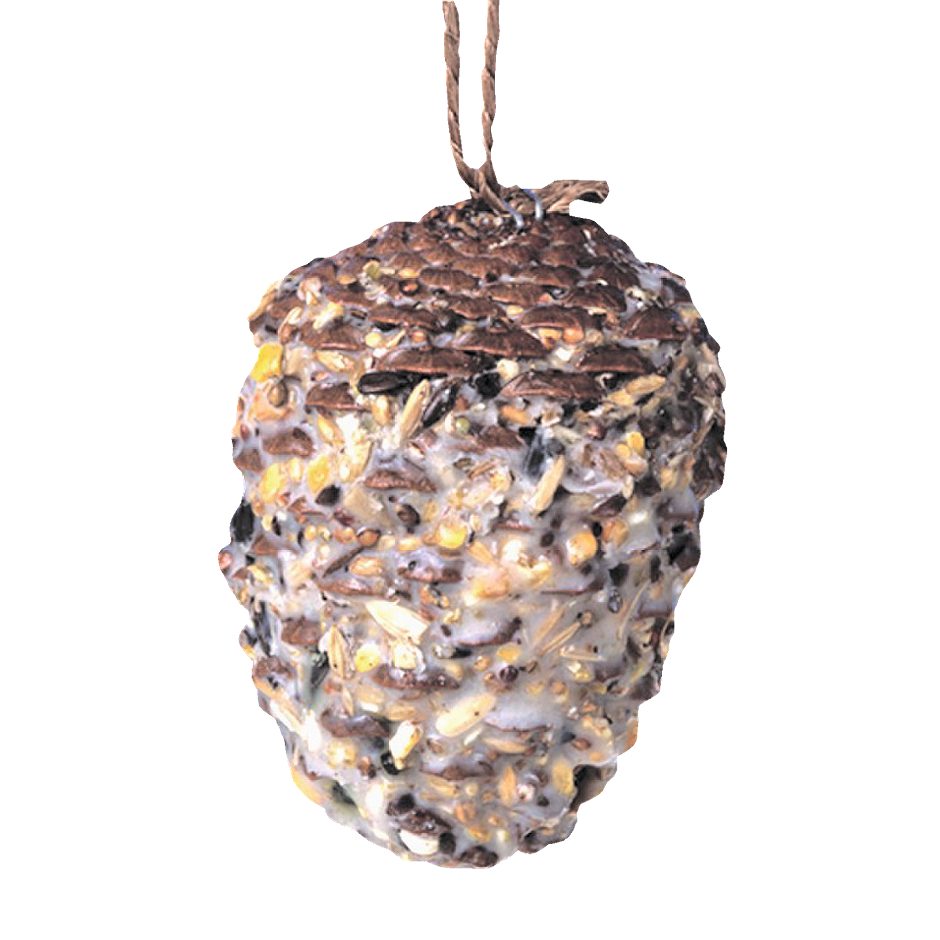 Stengel Wintervogelfutter Riesen Pinienzapfen 350 G