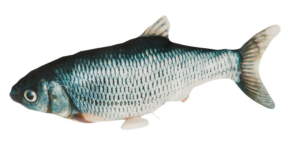 Kerbl Zappelfisch Katzenspielzeug