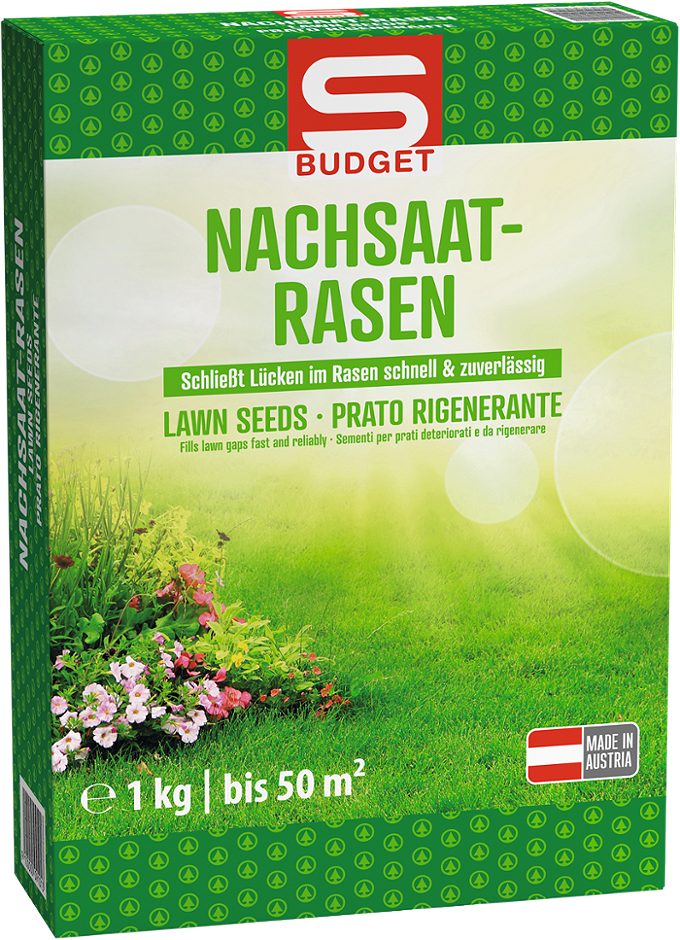 S-BUDGET Rasen Samen Nachsaat