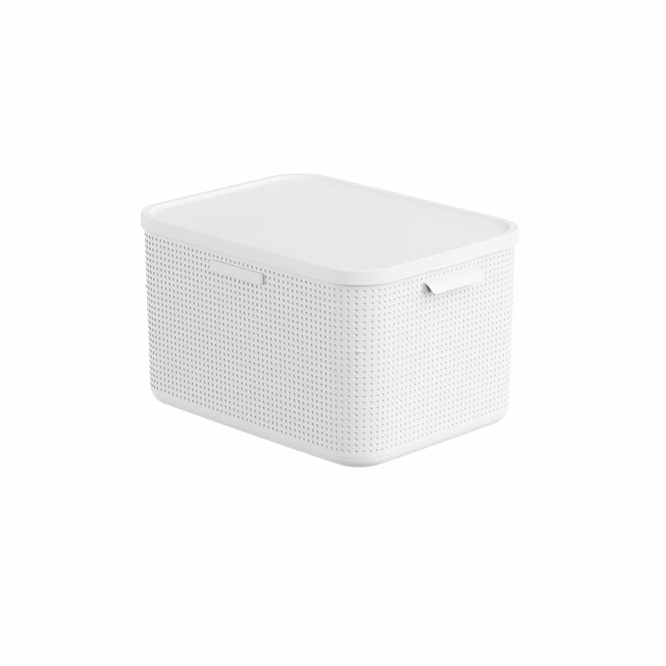 Rotho Box mit Deckel L Lisora