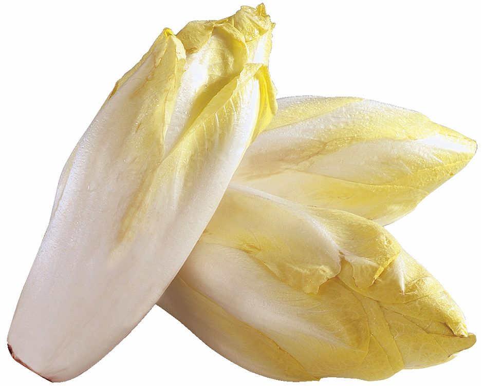 SPAR Chicoree 500g 500 G