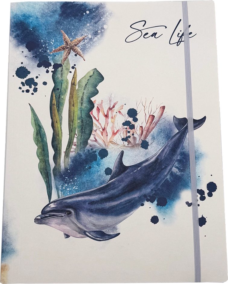 Gummizugmappe A4 Sea Life Delfin