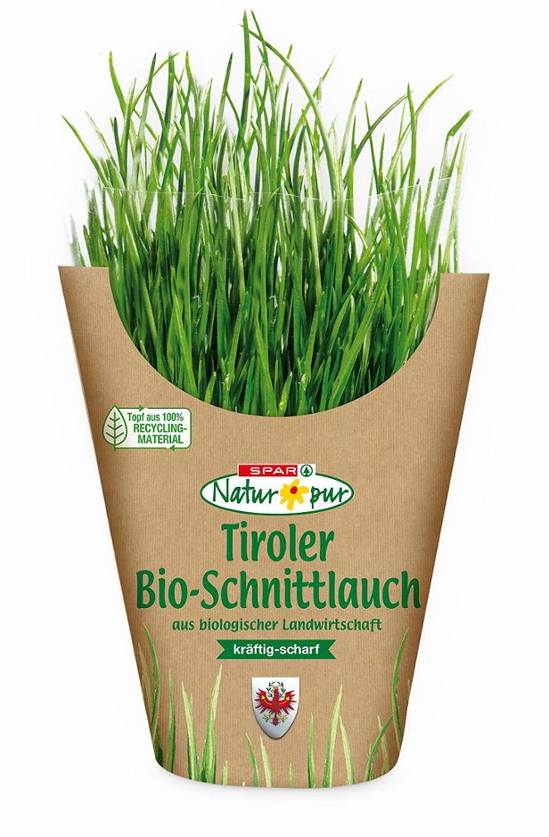 SPAR Natur*pur Bio-Schnittlauch im Topf