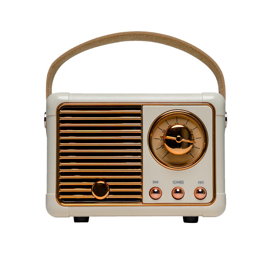 Denver Mini Bluetooth Speaker BTP 203W