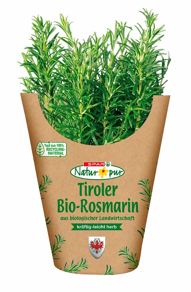 SPAR Natur*pur Bio-Rosmarin im Topf