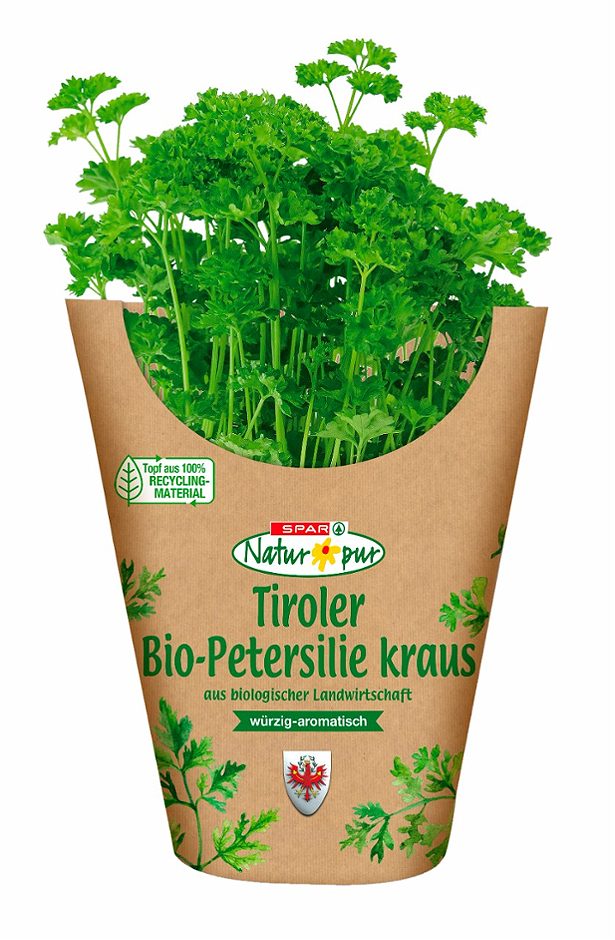SPAR Natur*pur Bio-Petersilie kraus im Topf