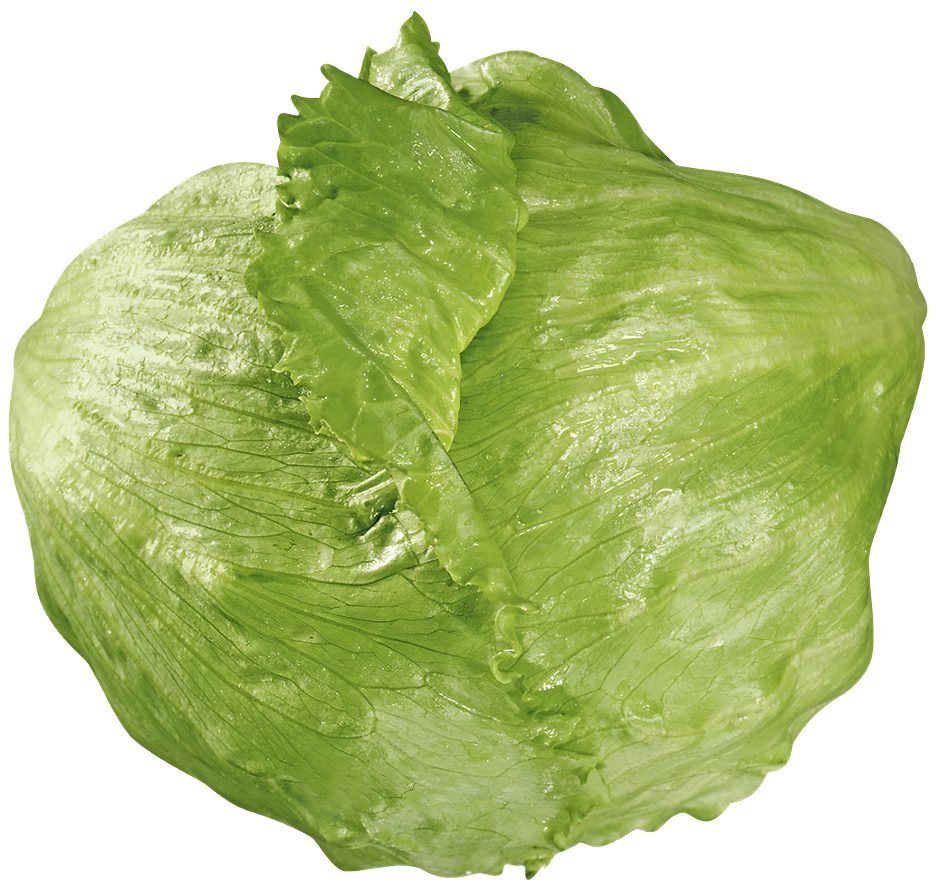 SPAR Natur*pur Bio-Eisbergsalat per Stk.