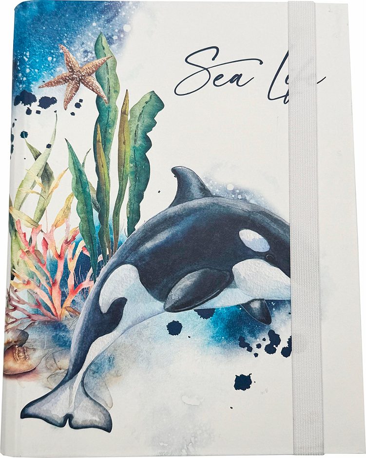 Heftbox A4 Sea Life, Orca