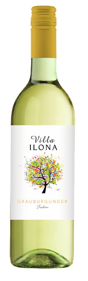 Villa Ilona Grauburgunder 2025 0,75 L