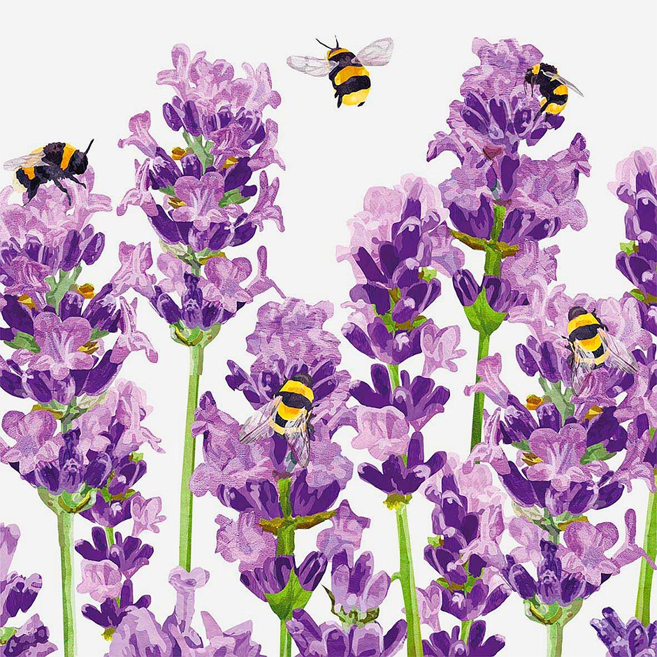 PPD Servietten 33x33 Lavender Bee 25 STK