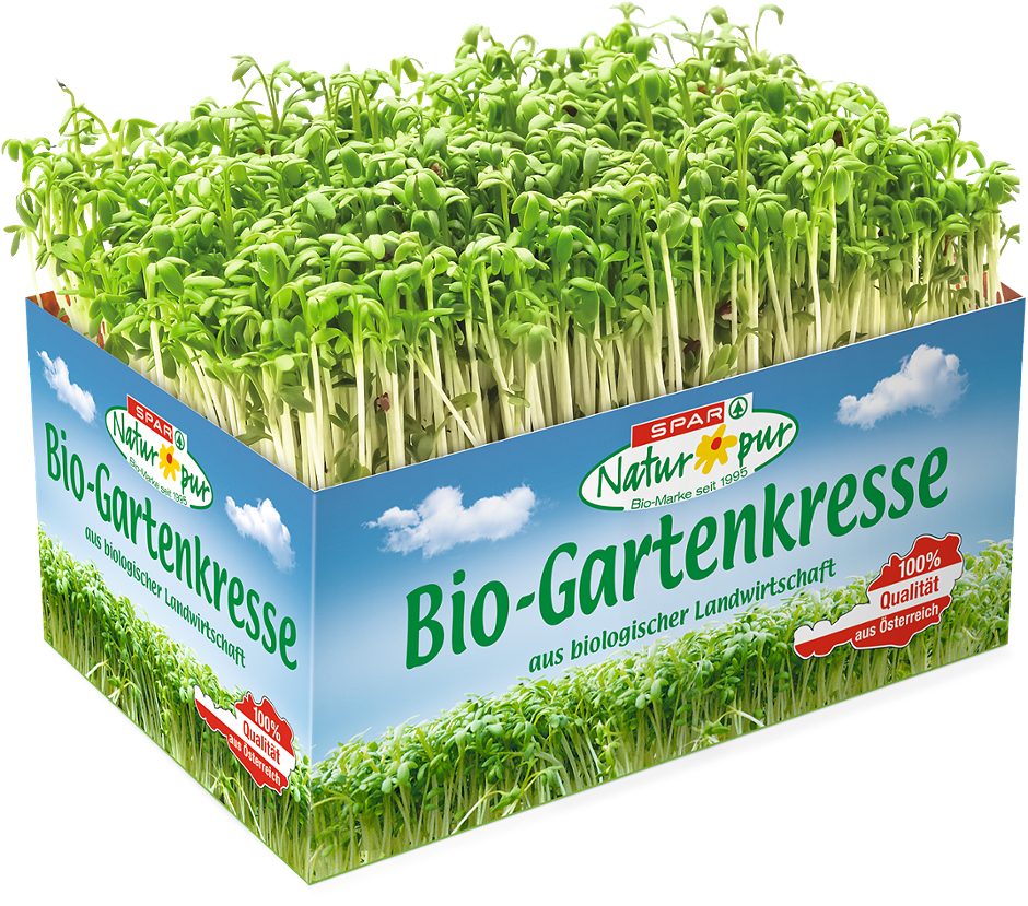 SPAR Natur*pur Bio-Gartenkresse
