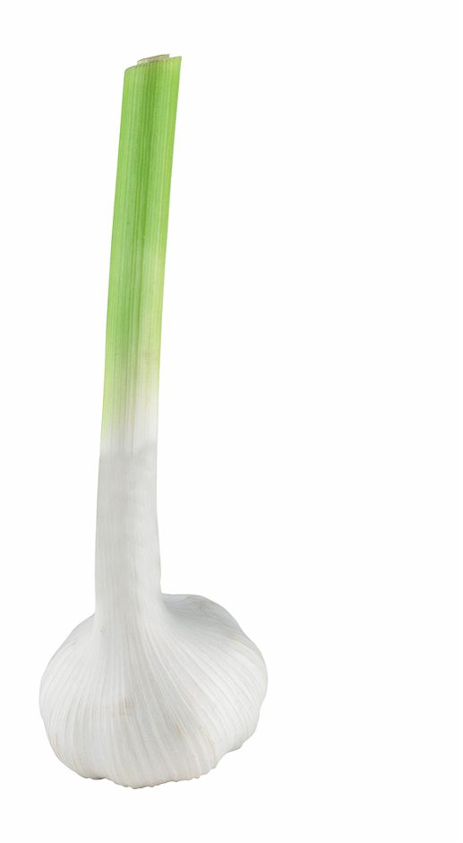 SPAR wie früher Bio-Knoblauch per kg